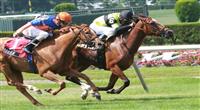 Giants Play and Rajiv Maragh goes gate to wire in the 68th Running of the Grade 2 New York Stakes forfillies and mares 3 year old & up, 1 1/4 mile on the inner turf. Trainer Christophe Clement. Owner Newsells Park Stud. 