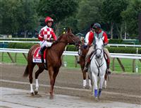 Pretty Prolific, second in the 2009 G1 Test, Saratoga