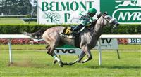 2011 05 30: Winter Memories with Jose Lezcano win the Grade 3 Sands Point Stakes for 3 year olds fillies at 1 1/16 mile, Belmont Park. Trainer James J. Toner. Owner Phillips Racing Partnership 