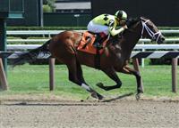 Summer Laugh breaks maiden at Saratoga (8-8-10). 