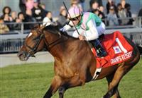 Champs Elysees, ridden by Garrett Gomez and trained by Robert Frankel, wins the grade 1 Canadian International Stakes for three year olds and upward at Woodbine Racetrack in Rexdale, Ontario.