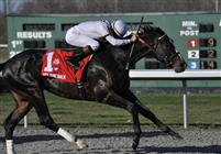 Hold Me Back captures the G2 Lane's End Stakes