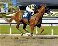 Santa Anita Starter Allowance 1-20-12
