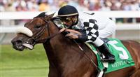 18 April 2009: Diamondrella (Rock of Gibraltar), Rajiv Maragh up, wins the Giant's Causeway Stakes at Keeneland Race Course, Lexington, Kentucky.