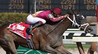 2011 04 09: Hot Summer and Luis Saez win the Grade 3 at 1 mile at Aqueduct Racetrack. Trainer David Fawkes. Owner Harold L. Queen 