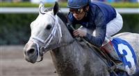 Why Mine That Bird Won't Win The Belmont