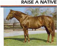 Raise A Native