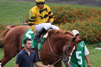 Backtalk before winning the 2009 Bashford Manor