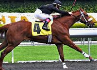 Bullybullybully races at Santa Anita
