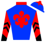 MelissaCook-Ward Silks
