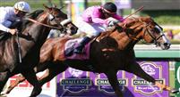 10 October 2009: Gitano Hernando and Kieren Fallon defeat Colonel John and Garrett Gomez to win the Goodwood Stakes (GI) at Oak Tree at Santa Anita Park.