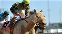 Afleet Again, ridden by jockey Frankie Pennington and trained by Robert Reid Jr. wins the Breeders' Cup Marathon (G2) at at Churchill Downs in Louisville, Kentucky on on November 5, 2011