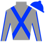 andiggs Silks