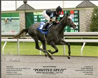 Positive Split 2