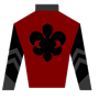 DavidBenning Silks