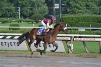 Desert Party captures the Sanford at Saratoga