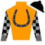 terryparker2 Silks