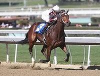 January 29, 2011 - Joe Ja breaking her maiden under Brice Blanc at Santa Anita