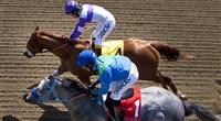 I'll Have Another nips Creative Cause in the 2012 Santa Anita Derby