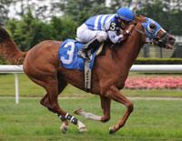 Winning her first race.