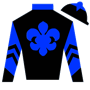 tpatelzick Silks