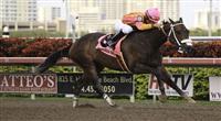 Force Freeze with jockey Paco Lopez winning the Gulfstream Park Sprint Championship(G2). Gulfstream Park, Hallandale Beach Florida. 