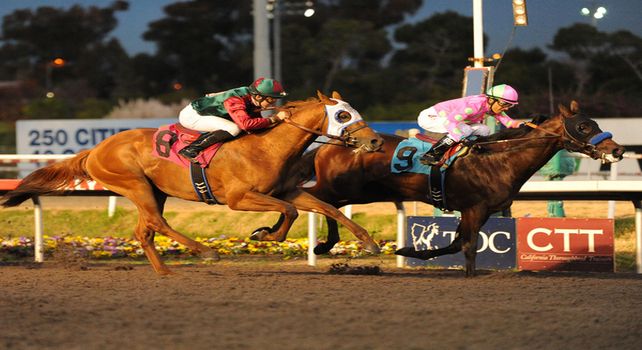December 17, 2011.Liaison ridden by Rafael Bejarano, crossing the finish line and winning the CashCall Futurity at Hollywood Park, Inglewood, CA