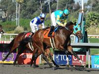 October 2, 2010.Jaycito ridden by Mike Smith wins the The Norfolk Stakes at Hollywood Park, Inglewood, CA._Cynthia Lum/Eclipse Sportswire
