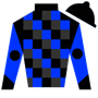 joseph.r.direnzo Silks