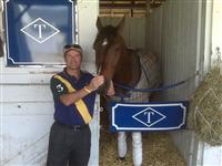 Loch Dubh and co -owner Bev Hendry at the Talley stable