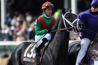November 6, 2010: Pluck, ridden by Garrett Gomez and trained by Todd A. Pletcher win the Breeders Cup Juvenile Turf at Churchill Downs in Louisville, KY..