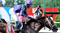 Bribon takes the 2009 Met Mile
