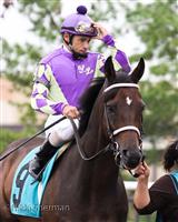 Bounding Bi at the Turf Amazon Stakes