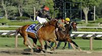 10 August 29: Persistently (no. 3), ridden by Alan Garcia and trained by Claude McGaughey III, wins the 63rd running of the grade 1 Personal Ensign Stakes for fillies and mares three years old and upward at Saratoga Race Track in Saratoga Springs, New York.