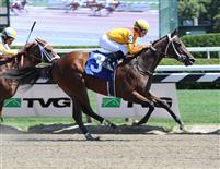 My Miss Aurelia breaks maiden at Saratoga (7-22-11). 