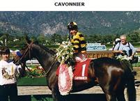 Cavonnier