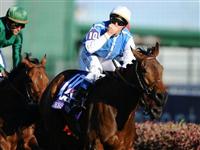 6 November 2010: Goldikova (IRE), ridden by Olivier Peslier and trained by Freddy Head, makes it three in a row with a come from behind win in the TVG Breeders Cup Mile at Churchill Downs in Louisville, KY. (Scott Serio/Eclipse Sportswire)