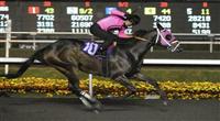 10 December 18: Comma to the Top (no. 10), ridden by Corey Nakatani and trained by Peter Miller, wins the 30th running of the grade 1 CashCall Futurity Stakes for two year olds at Hollywood Park in Inglewood, California. (Bob Mayberger/Eclipse Sportswire) 