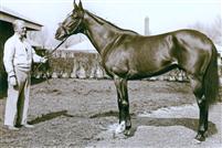 Ridan 1