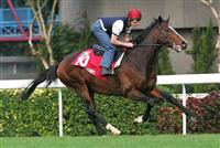 Powerscourt big