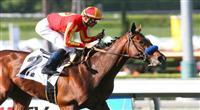04 October 2009: Lookin at Lucky and Garrett Gomez win the Norfolk Stakes (GI) at Oak Tree at Santa Anita Park, Arcadia, CA.