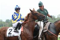 Lawyer Ron Euthanized
