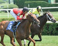 Saratoga  August 2010