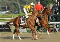 09 September 07: Backtalk prior to the 105th running of the grade 1 Hopeful Stakes for two year olds at Saratoga Race Track in Saratoga Springs, New York.