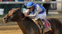 Blame wins the Stephen Foster