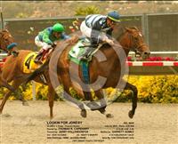 Lookin For Jonesy breaks her maiden