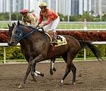Colonial Causeway