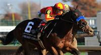 Secret Circle wins 2011 Breeders' Cup Juvenile Sprint Secret Circle
