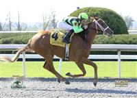 29Oct11 1KEE First start-first win