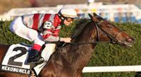 11 13 2010: Mekong Melody (IRE) with Alex Solis up win the 54th running of the Grade III Long Island Handicap for fillies and mares, 3-year olds & up, at 1 1/2 miles on the turf, Aqueduct Racetrack, Jamaica, NY. Trainer Roger Attfield. Owners David C. Egan. 